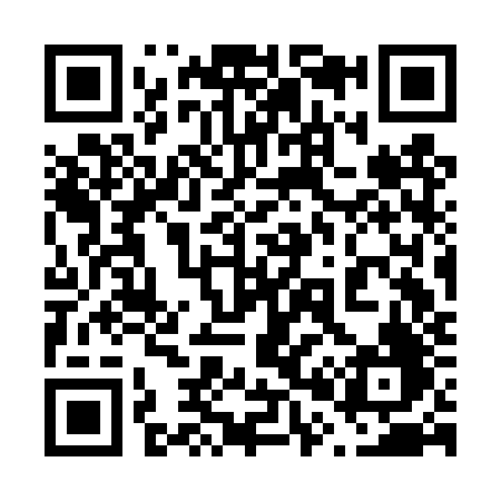 QR code for 603DZF