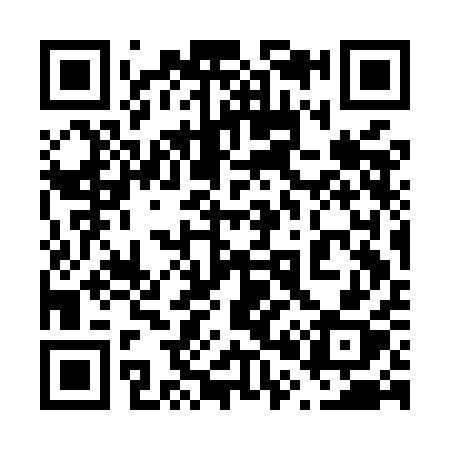 QR code for 603MAX