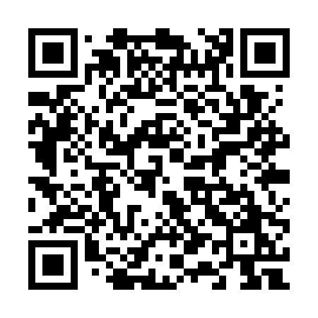 QR code for 611WPO