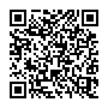 QR code for 613SIS