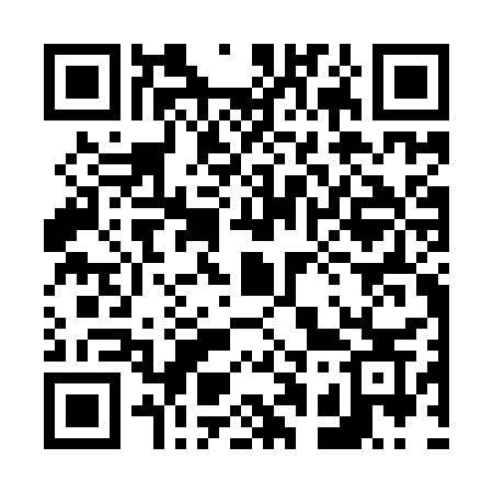 QR code for 617ISS