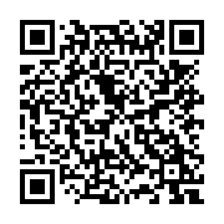 QR code for 638NPO