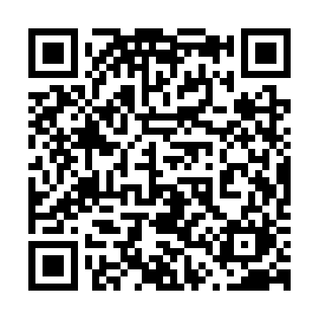 QR code for 641SRM