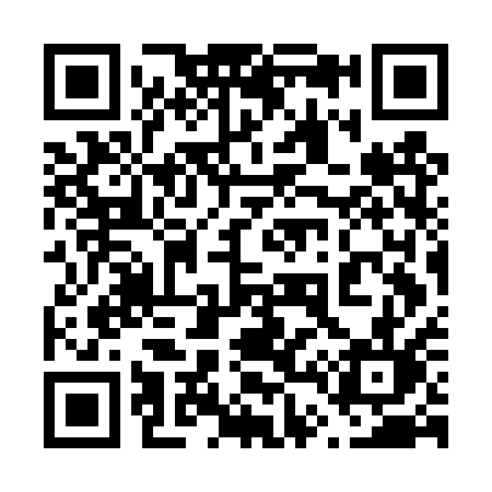 QR code for 647DQL