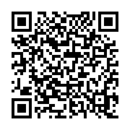 QR code for 653PCO