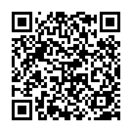 QR code for 653PIE