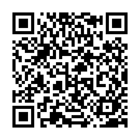 QR code for 653PQO