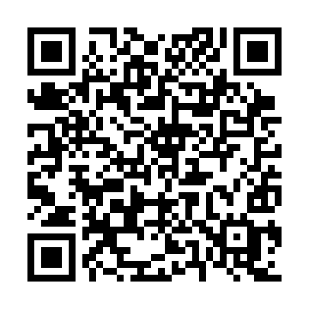 QR code for 653SIG