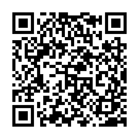 QR code for 653SUS