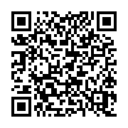 QR code for 655HIT