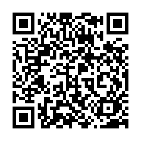 QR code for 655IAO