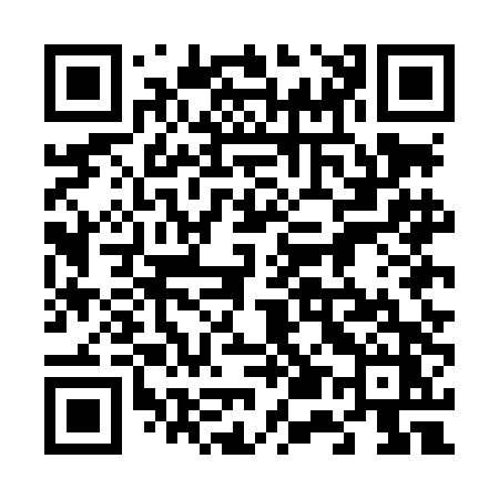 QR code for 655LDZ