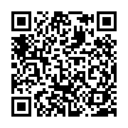 QR code for 675PEK