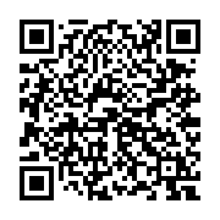 QR code for 687TAX