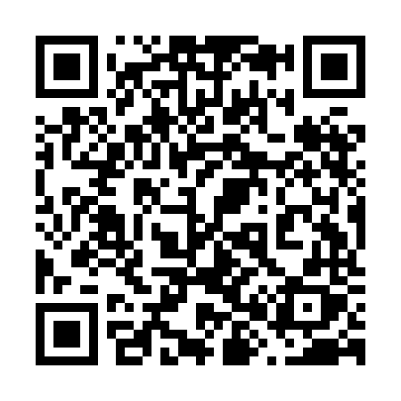 QR code for 689HNX