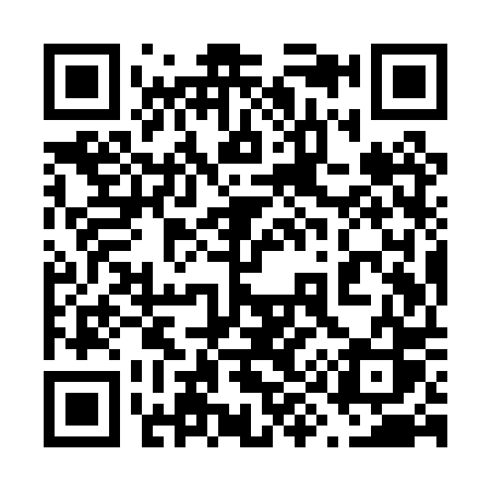 QR code for 699PPS