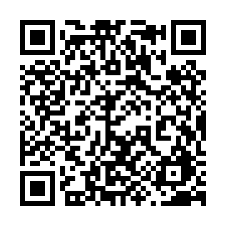 QR code for 699PRG