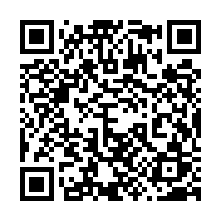 QR code for 699USR