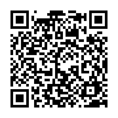 QR code for 699XSG