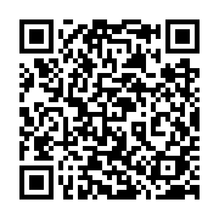 QR code for 703WPI