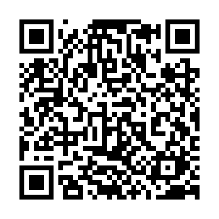 QR code for 733CRM
