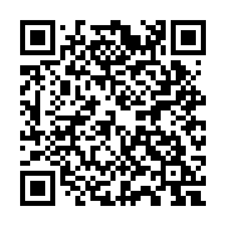 QR code for 737BSG