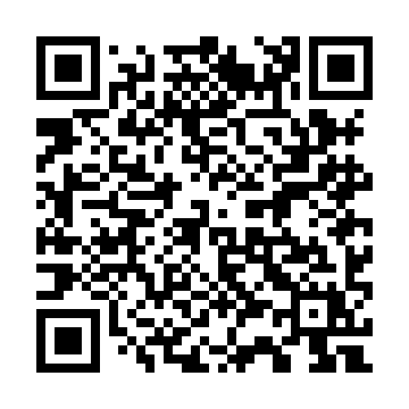 QR code for 737HIX
