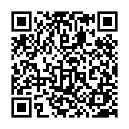 QR code for 737POL