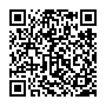 QR code for 737VIS