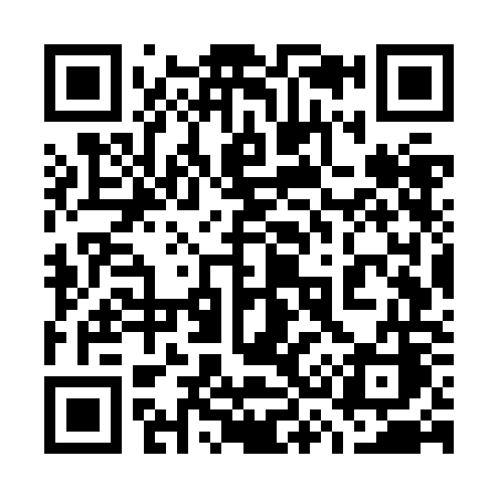 QR code for 737ZOC
