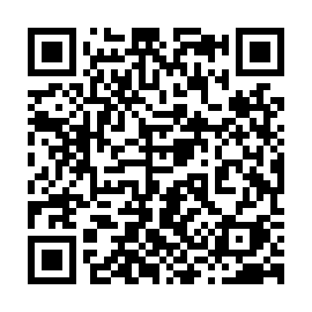 QR code for 838LSI