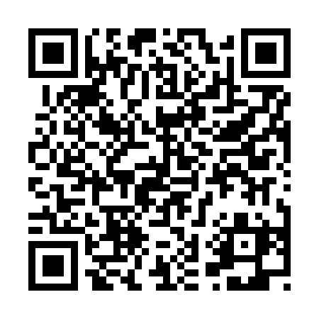 QR code for 838NSA