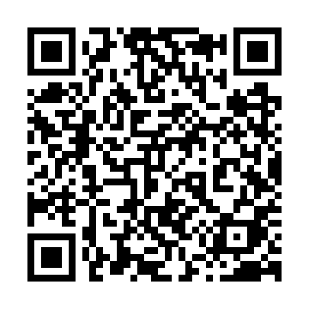 QR code for 856WPI
