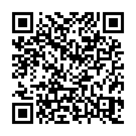 QR code for 863IFS