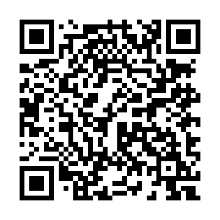 QR code for 875LIM