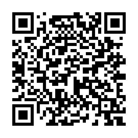 QR code for 878PIP
