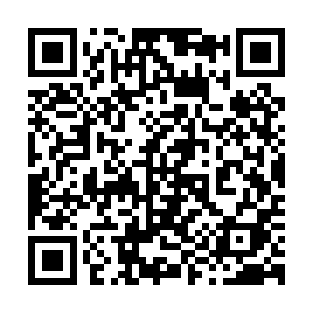 QR code for 893PPI