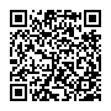 QR code for 905NLP
