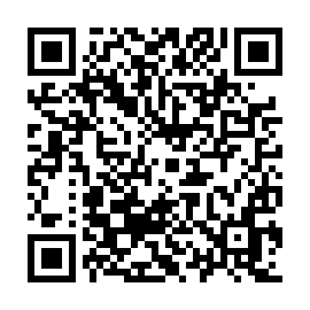 QR code for 913DIN