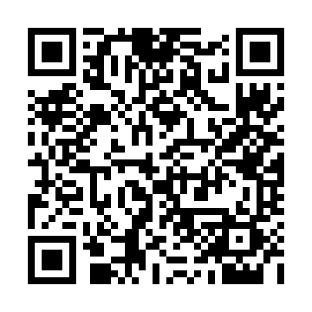 QR code for 913FLQ