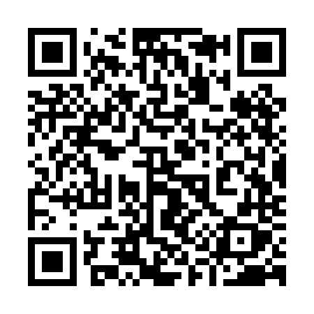 QR code for 913PNX