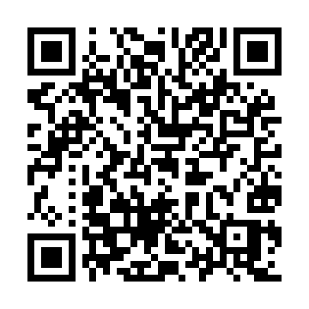 QR code for 917MIS