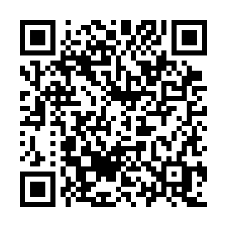 QR code for 919CHF