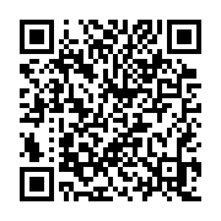 QR code for 919CTK