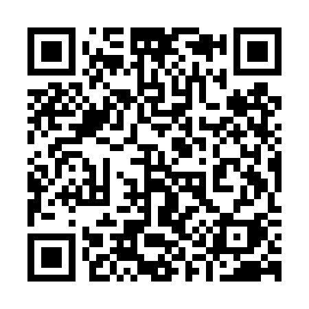 QR code for 919DSI