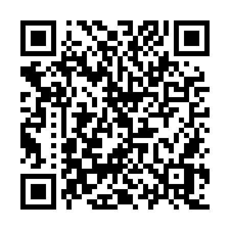 QR code for 919LOV