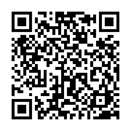 QR code for 919MCC