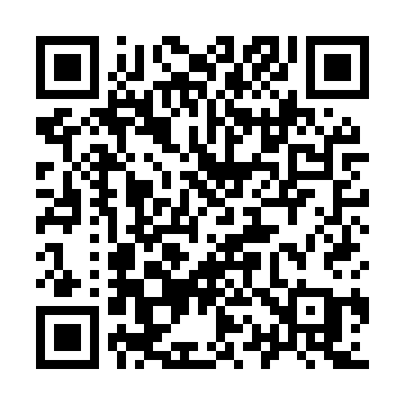 QR code for 919MSA