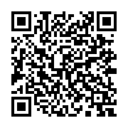 QR code for 919PHR