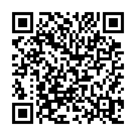 QR code for 919SGD